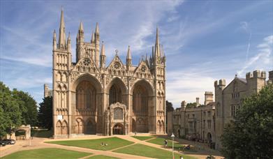 Cathedral (whole)