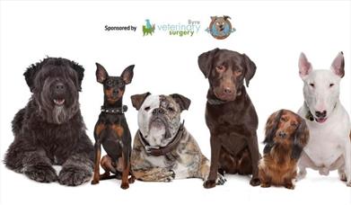 Family Fun Day & Dog Show