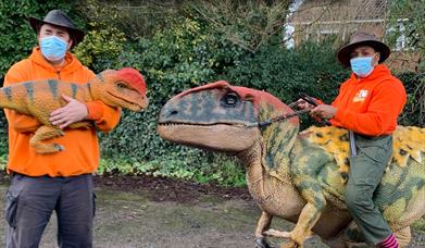 Dinosaurs