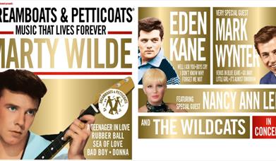 Dreamboats and Petticoats - Marty Wilde