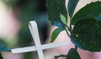 Palm Sunday
