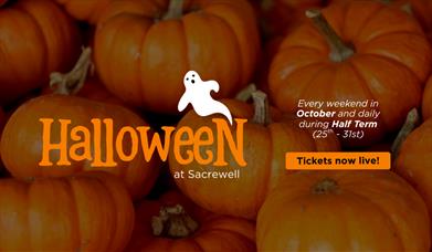 Pumpkins. Text reads: Halloween at Sacrewell. Every weekend in October and daily during Half Term (25th - 31st). Tickets now live.
