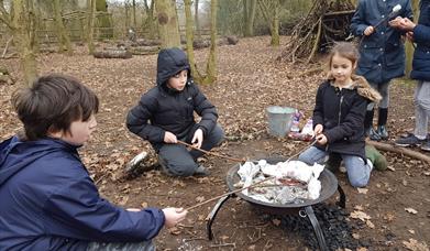 Forest School Marshmallows