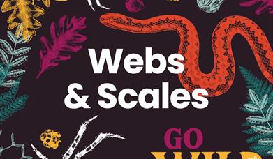 A black background with colourful graphics of spiders, snakes and vegetation.