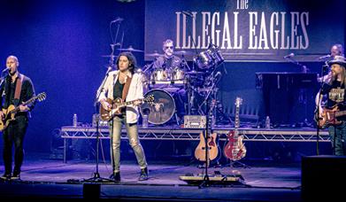 The Illegal Eagles