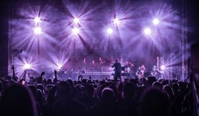 Ibiza Live