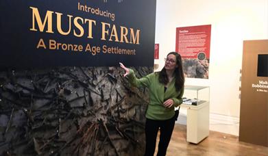 Exhibition Tour: Introducing Must Farm, a Bronze Age settlement