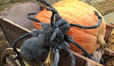 The Burghley Halloween Trail
