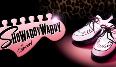 Showaddywaddy - New Theatre, Peterborough