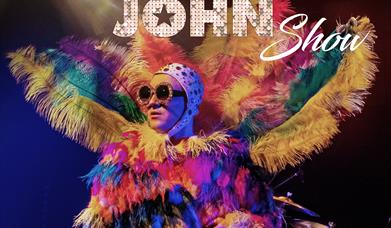 Elton Tribute performer with text reading The Elton John Show