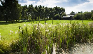 Flag Fen