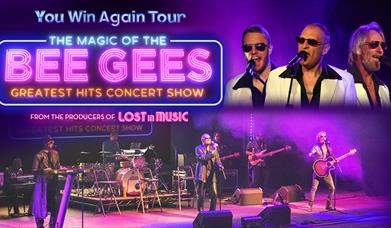 The Magic of the Bee Gees