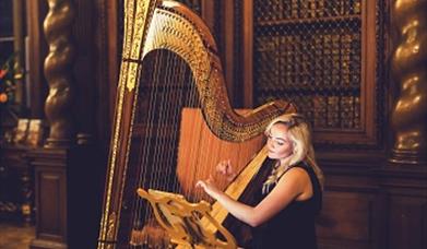 Burghley_twilight_harpist