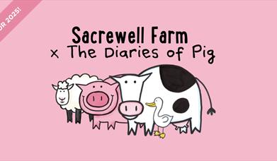 A cartoon of a sheep, pig, cow and goose against a pink background. Text reads 'Sacrewell Farm x the Diaries of Pig'.