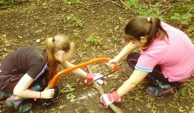 Bushcraft skills image