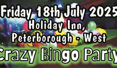Crazy Bingo Party