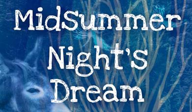 A MIDSUMMER NIGHTS DREAM