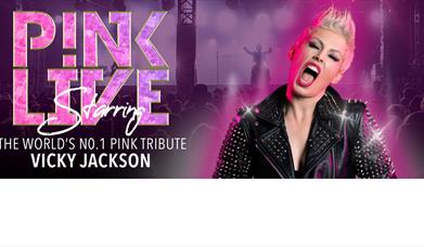 Vicky Jackson as P!NK with pink lettering that reads 'P!INK live starring the world's number 1 P!INK tribute'.