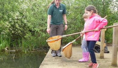Pond dipping at Nene Park