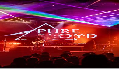 A concert with red and neon lighting. Logo of a triangle with the words 'Pure Floyd'.