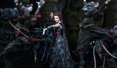 ROH SCREENING: THE SLEEPING BEAUTY