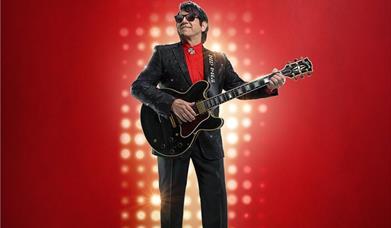 Barry Steele as Roy Orbison against a red background. Text reads 'Barry Steele's Roy Orbison story. True, identikit, brilliant'.