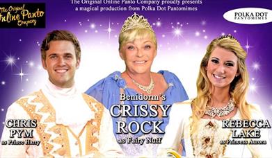 SLEEPING BEAUTY - ONLINE PANTO
