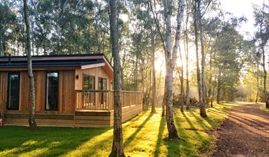 Elton Furze Retreats
