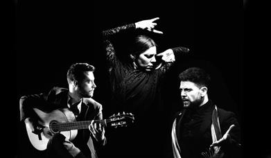 Black and white montage of a woman dancing, a man playing guitar and a man singing.