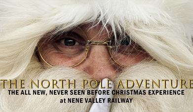 The North Pole Adventure