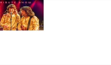An image of a BeeGees tribute band performing on stage. Text reads: A new tribute show.