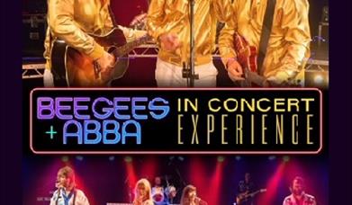 BeeGees + ABBA in concert experience