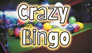 Crazy Bingo Party - 1st February 2024