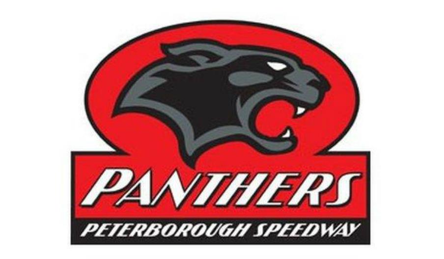 Panthers logo