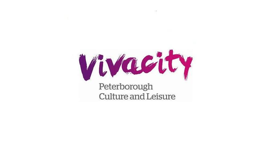 Vivacity logo