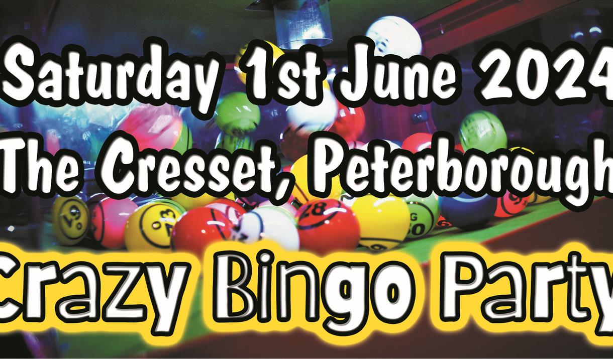 Crazy Bingo Party