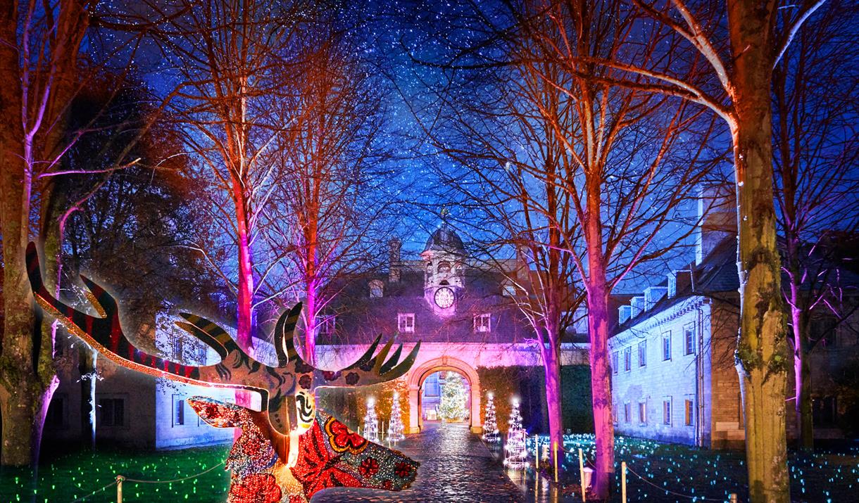 Belton House Christmas Lights 2022 Christmas 2022 Update