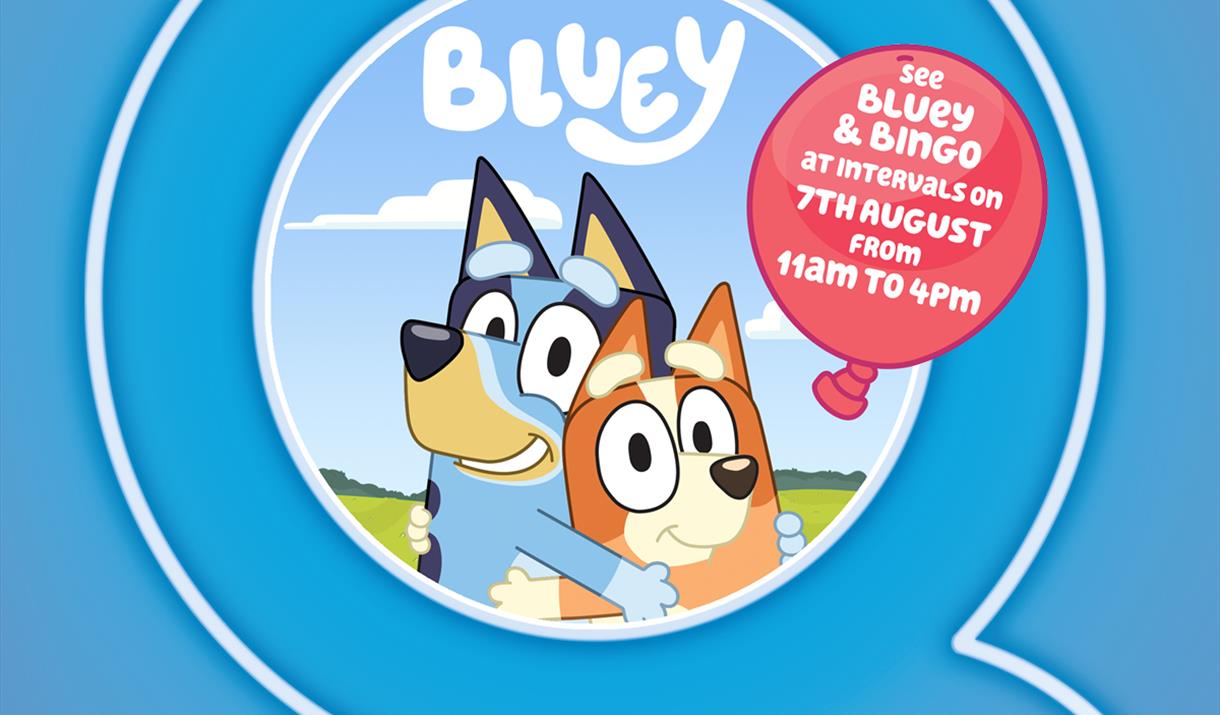 Calling all Bluey and Bingo fans to Queensgate this summer!