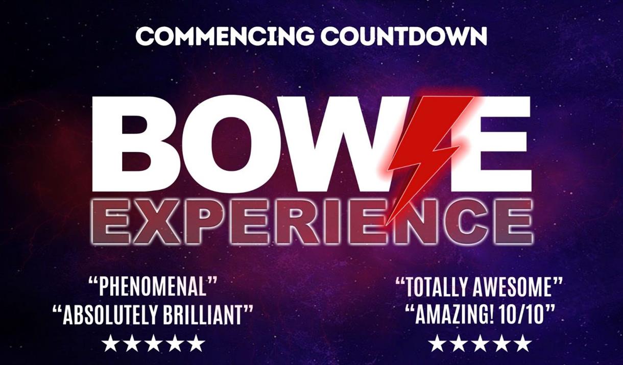 Bowie Experience