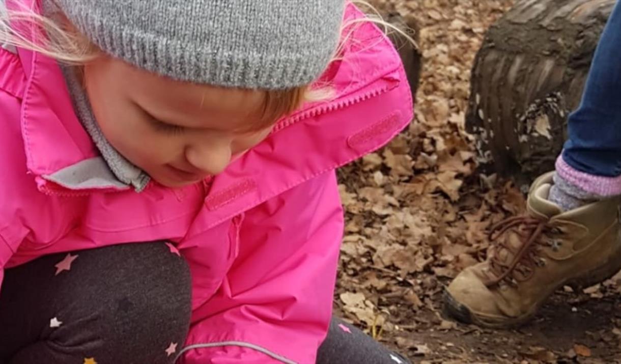 Bushcraft: Firelighting at Nene Park