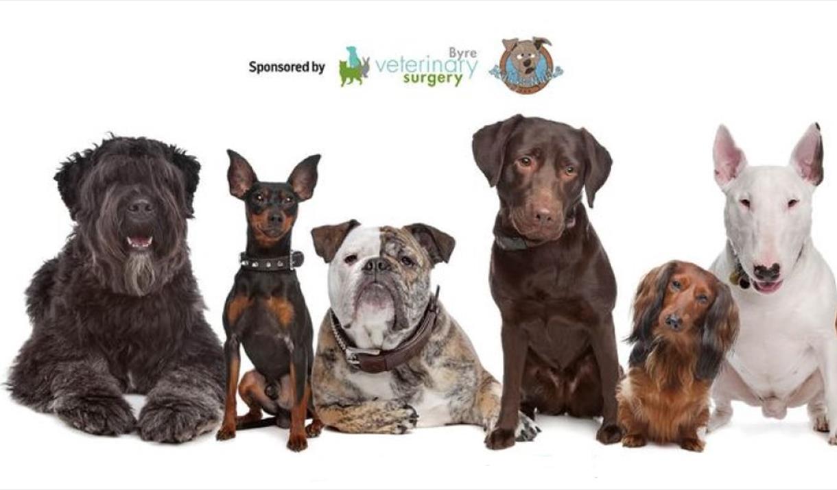 Family Fun Day & Dog Show
