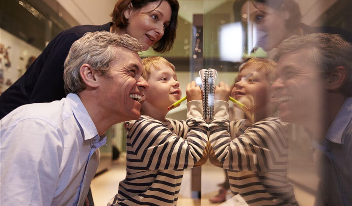 A picture of a family looking at an exhibit.