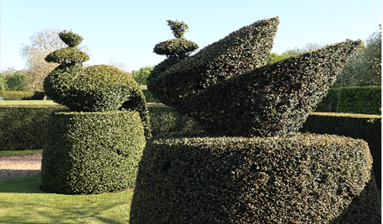 World Topiary Day - Garden opening