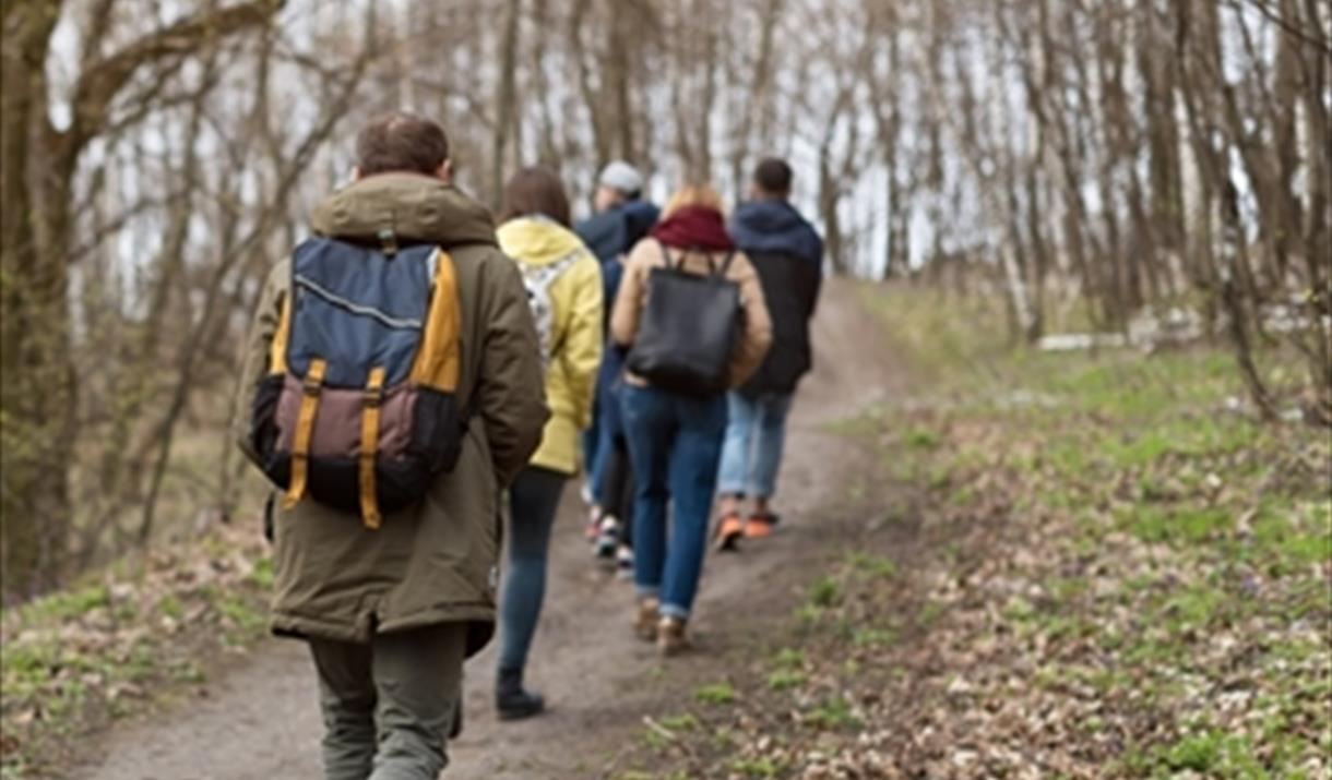A group of people walk single-file through an autumn wood.