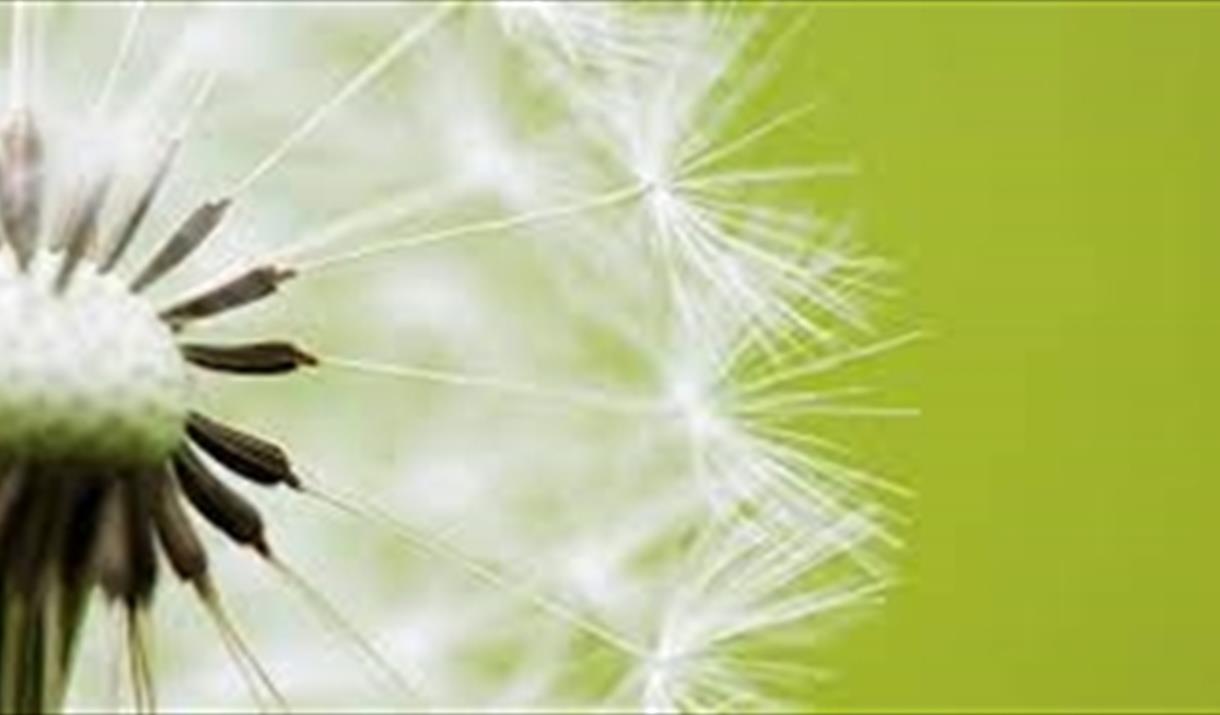 Sustainable Living Locally
