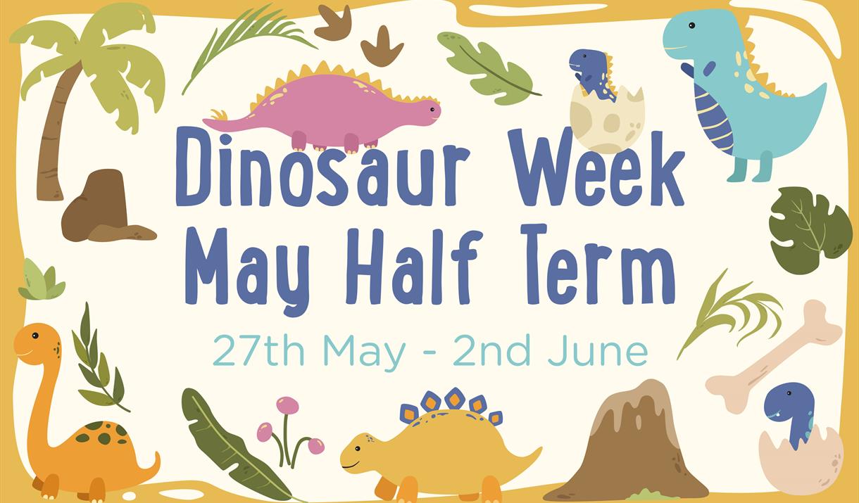 Dinosaur week - may half term