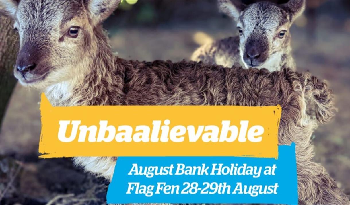 Unbaalievable August Bank Holiday at Flag Fen