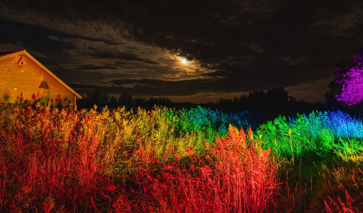 The illuminated trail at Flag Fen (Dec 21)