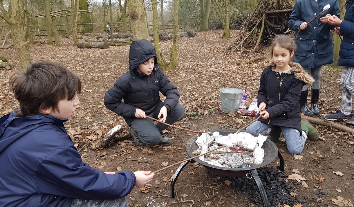 Forest School Marshmallows