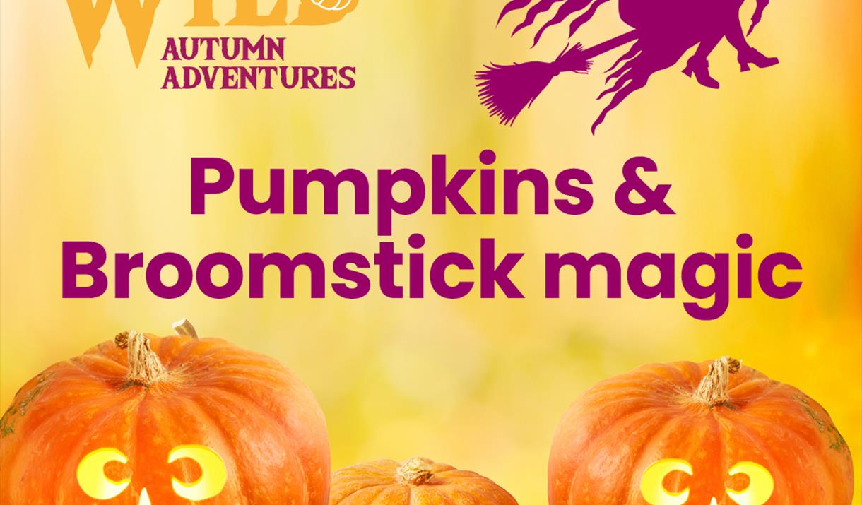 A yellow background with carved pumpkins. Purple text reads 'pumpkins and broomstick magic'.
